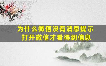 为什么微信没有消息提示 打开微信才看得到信息